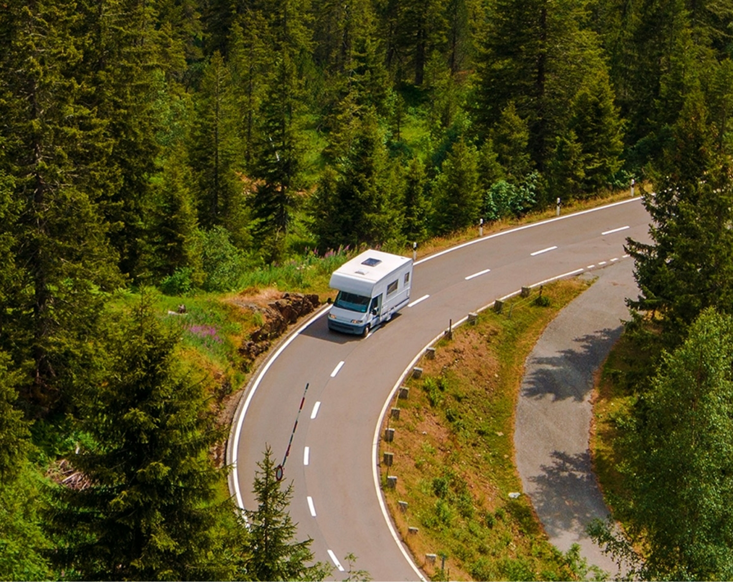 A white Class C RV rounds a curve on a pine-tree-lined road.